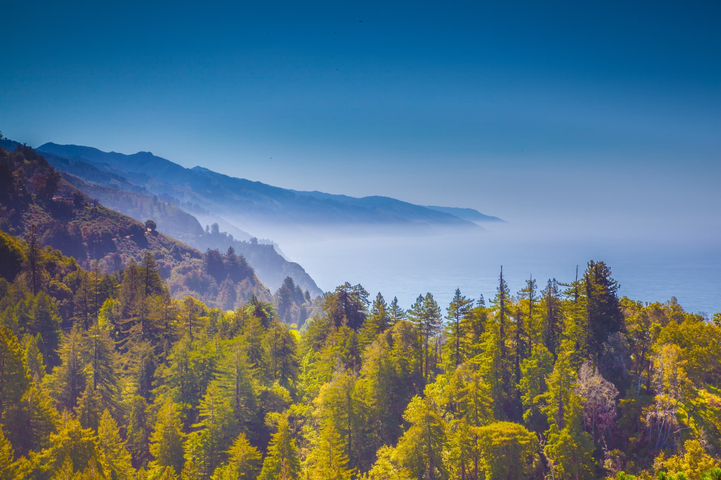 A coastal mountain range fading into ocean mist beyond a forested ridge
